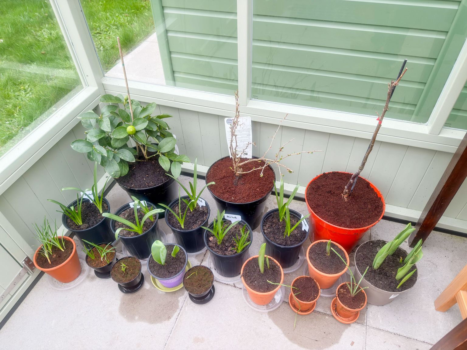 Project image for Studio and Life